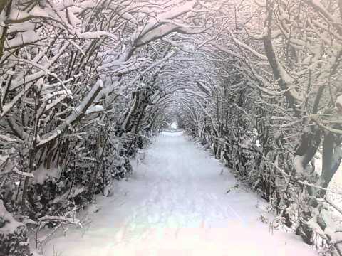 Anoice - Colder Than Thermite