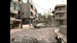 cod4 inSomnia beta skins