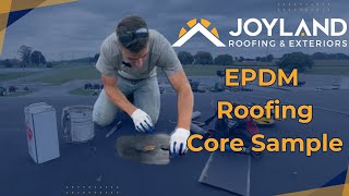 Celebrity Commerical EPDM Roof Core Sample/Test Net Worth