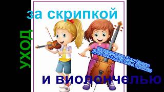 видео: Как правильно ухаживать за струнными инструментами. (скрипка и виолончель) рассказывает Иван Бурцев. картинка: Как правильно ухаживать за струнными инструментами. (скрипка и виолончель) рассказывает Иван Бурцев.
