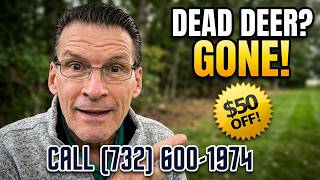 Don t Let a Dead Deer Sit in Your Yard