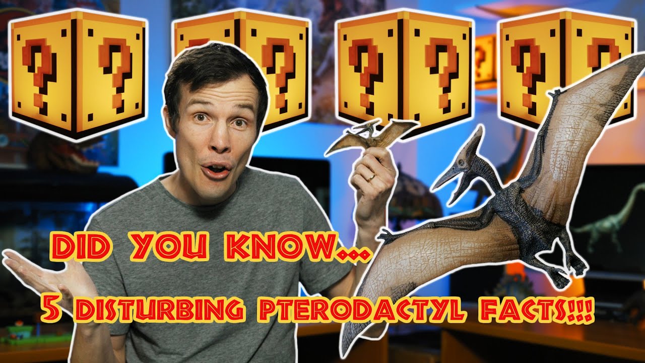 Snarl's Dino Facts:Pterodactyl