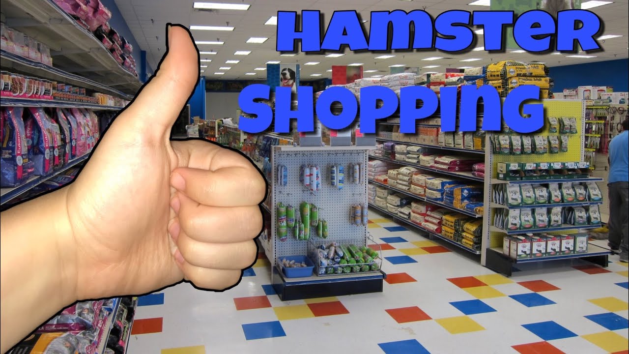 Buying A Hamster At A Local Pet Store YouTube