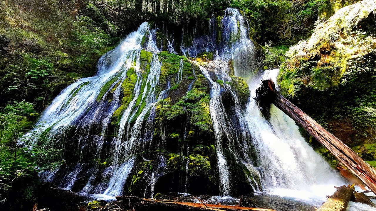 🔊 Waterfall Cathedral of Washington | Panther Creek Falls (ASMR Sound Journey)
