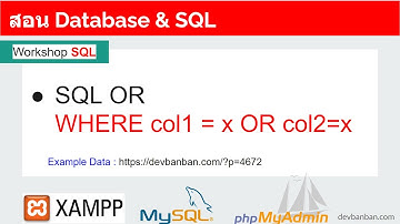 สอน SQL OR การเรียกดูข้อมูลอย่างใดอย่างหนึ่ง บน phpMyAdmin