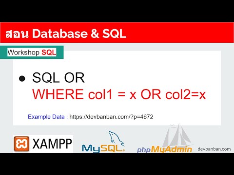 สอน SQL OR การเรียกดูข้อมูลอย่างใดอย่างหนึ่ง บน phpMyAdmin