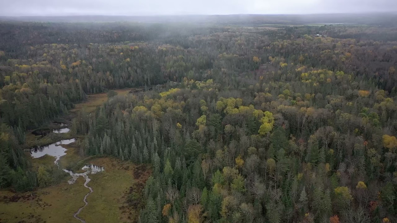 348 Halls Road East YouTube