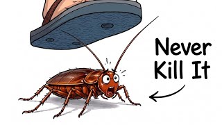Never Kill the Cockroach in Your Home_You Have Been Lied To Your Entire Life