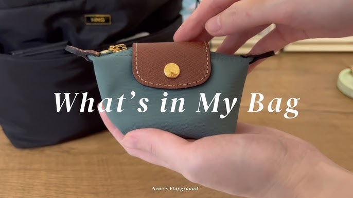 What fits in my @longchamp le pliage pouch with handle. Add-on