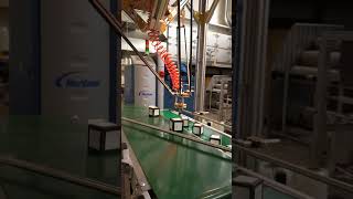 PXL 20220604 131006243