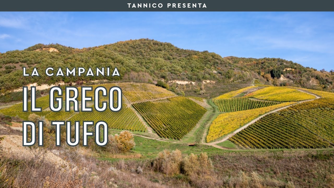 Il Greco di Tufo e Angelo Muto | Tannico
