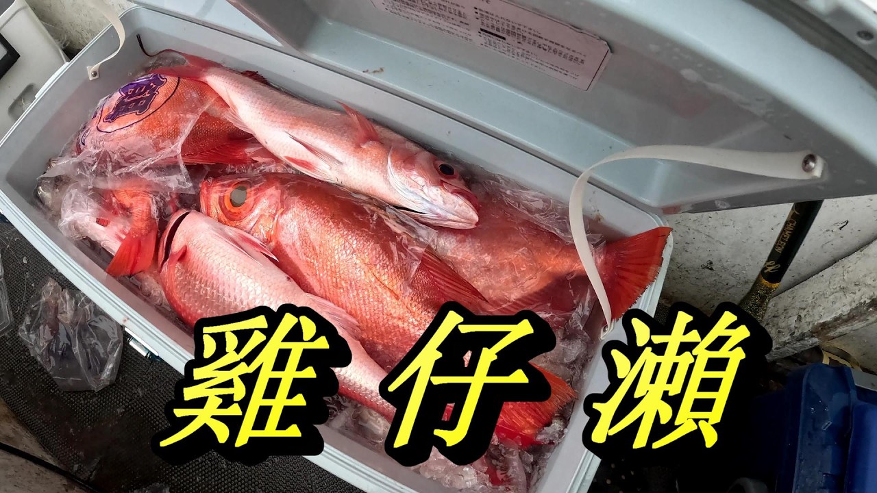 #2月5日宜蘭外海雞仔瀨釣況分享#大目鰱長尾鳥花花咬