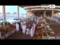 برومو  مهرجان صفري بيشة 1435هـ برعاية صاحب السمو الملكى الامير فيصل بن خالد بن عبد العزيز