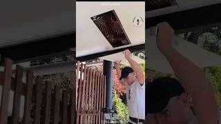 Ceiling Full of Bees #shorts #bee