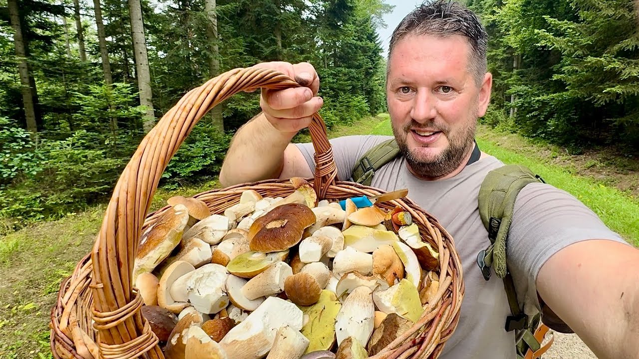 BOROWIK Szlachetne 25kg.FANTASTIKO borowiko … 10 sierpień 2025 