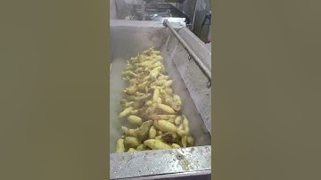 Máy rửa và cạo vỏ khoai lan, nông sản của Tech Garden. Lh 0935911775 Trần Trinh