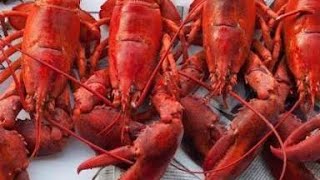 ( CULINARY ) SEA FOOD ALL YOU CAN EAT HOTEL IMPIANA KUALA LUMPUR KL MALAYSIA MBLADOG RAKUS OYSTER