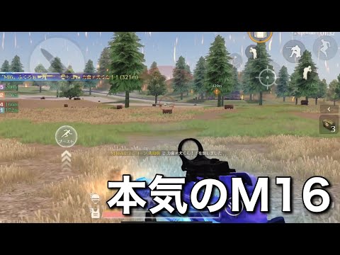 【荒野行動】〝MI6〟ふくろぉの本気のM16キル集　圧倒的ヘッド率