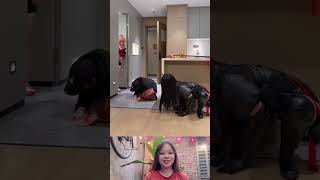 Plans Vs Unexpected Surprise