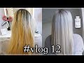 Müssen die HAARE ab??? 😱💇🏼‍♀️FARBTUTORIAL ❣️# Vlog 12 Jenny König