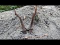 ВСКРЫЛ НЕ БИТЫЙ БЛИНДАЖ! КОП ПО ВОЙНЕ! WW2 METAL DETECTING