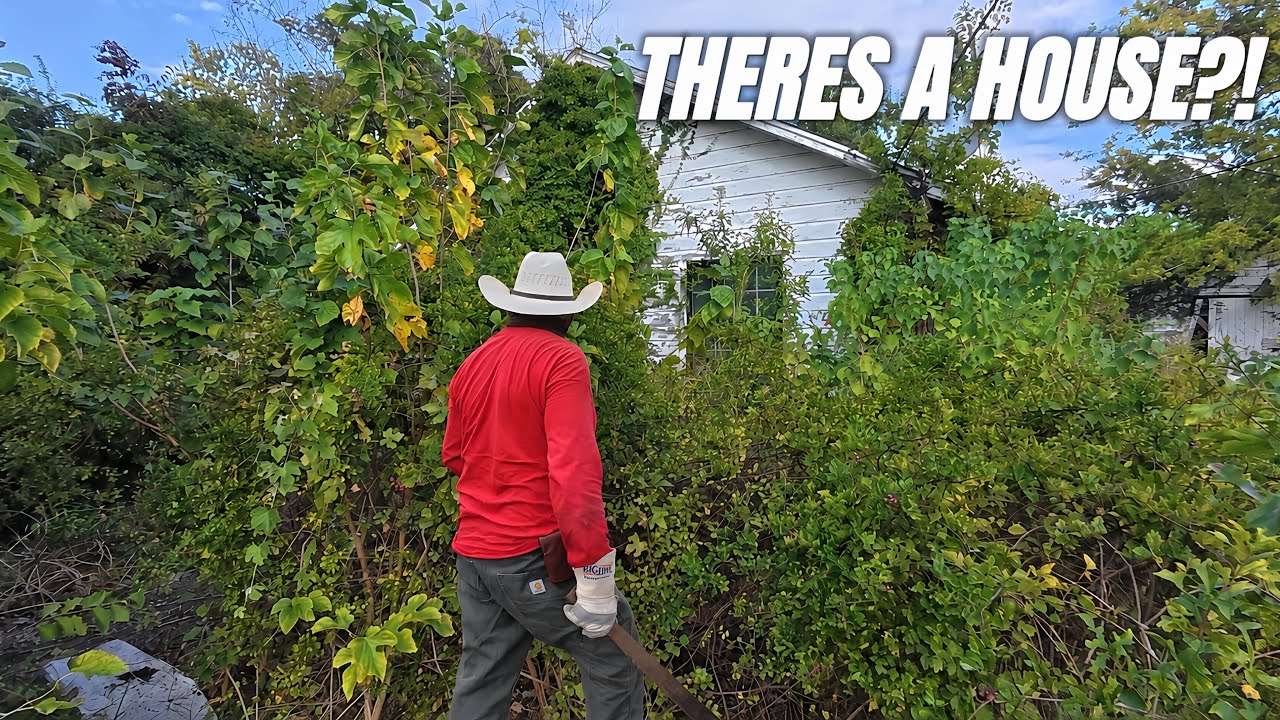 We Brought Machetes… and Still Weren’t Ready for This