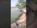 Worst fishing fail ever... impossible to save! 😭🔥