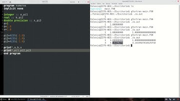 [Fortran] 4 Números enteros y reales