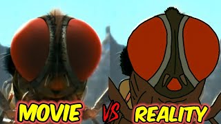 Makkhi ( Eega ) Movie Vs Reality funny animation videos