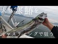 【ナブラ打ち】表層直下で大型寒サワラをボートキャスティングで狙う。