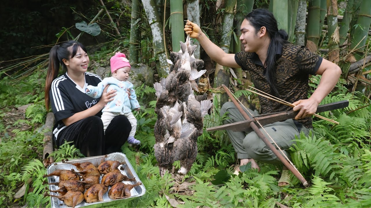 A dramatic night hunt: catching wild quail with a homemade
