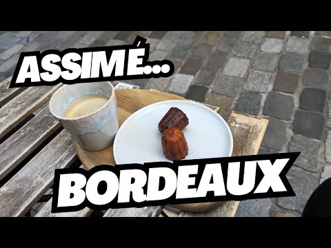 Vídeo: Os 12 melhores restaurantes de Bordeaux