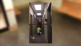 Animal Vet Clinic Floor Sealing Time Lapse