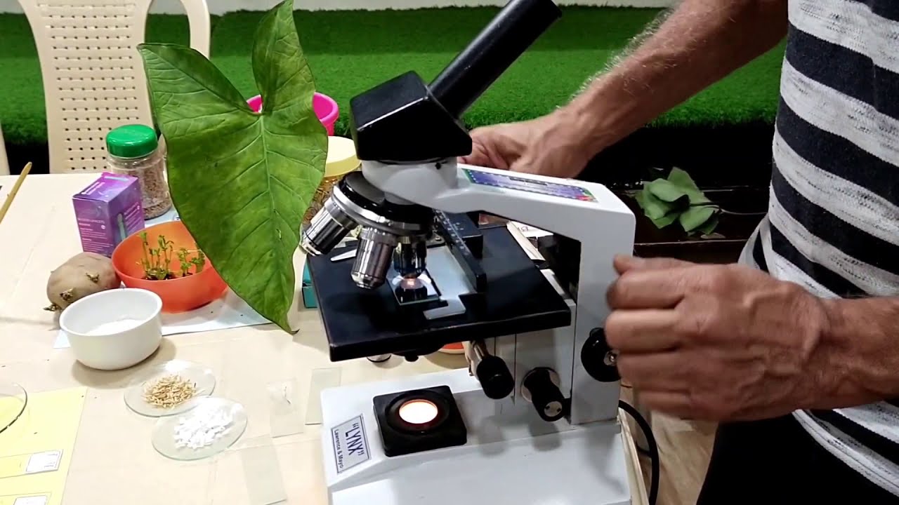 Foundation Course- Microscopy Part 1