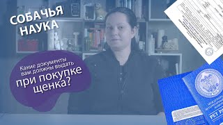 Какие документы вам должны дать при покупке породистого щенка