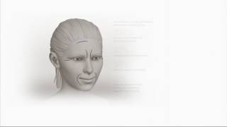 It Cosmetics Confidence In A Cream Super Cream Auto-Delivery On Qvc