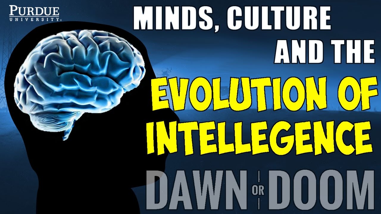 Minds, Culture and the Evolution of Intelligence - Dan Kelly