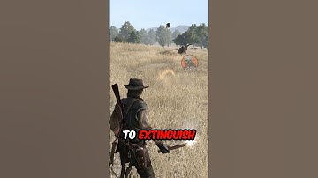 RDR1 : 5 Unique Details And Glitches Missed By Players PART 1 #rdr2 #rdr1 #gaming #arthurmorgan #rdo