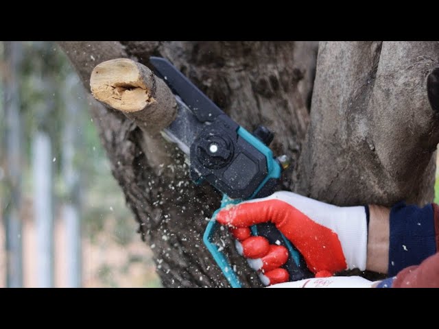 TRONÇONNEUSE ÉLECTRIQUE POUR LE JARDIN | Keeper KP6