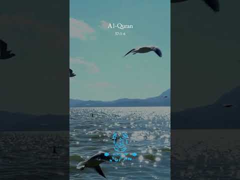 Surah Al-Hadid 1-6 | Voice Of Quran Hindi