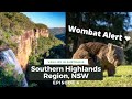 Things to do in the Southern Highlands, NSW | VAN LIFE AUSTRALIA ROAD TRIP | Ep 4