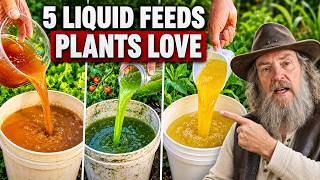 Even Dead Plants Come Back to Life! 21 Natural Fertilizers That Work Instantly!