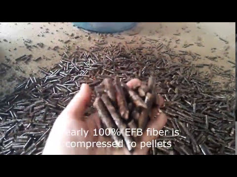 EFB Pellet Mill, make EFB pellets - YouTube
