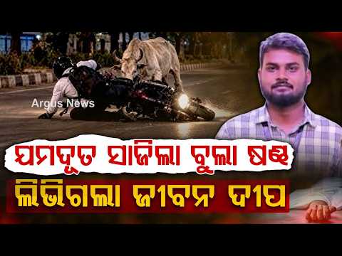 ଯମଦୂତ ସାଜିଲା ଷଣ୍ଢ | Mountaineer Jagannath Mohanta Di*s In Tragic Stray Bull Attack In Bhubaneswar
