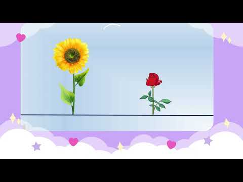 Video Làm quen với toán: So sánh chiều cao 2 đối tượng - Lứa... - youtube