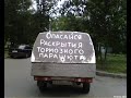 Предлагаю посмотреть смешные надписи на автомобилях и поднять себе настроение.