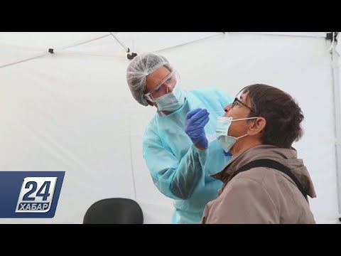 За 100 тыс. перевалило число подтверждённых случаев COVID-19 в Бельгии