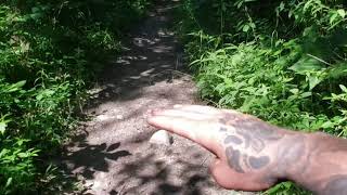 Life outside the garden of weeden