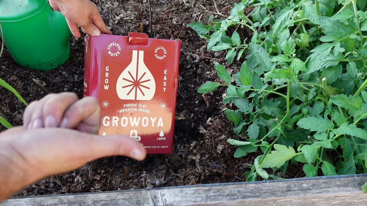 New Product GROWOYA (size medium 3L)