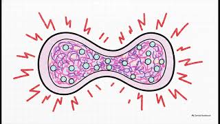 How do exosomes interact with local extracellular matrix proteoglycans to c WHC Clinical FAQ